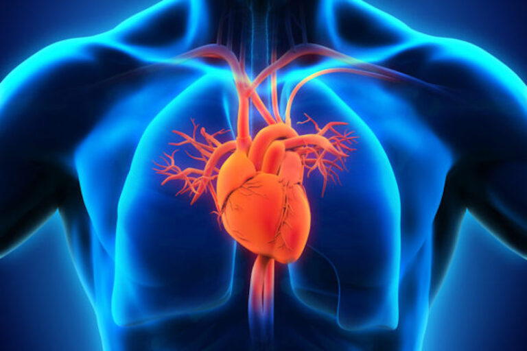 International research network team probes inflammation after heart attack