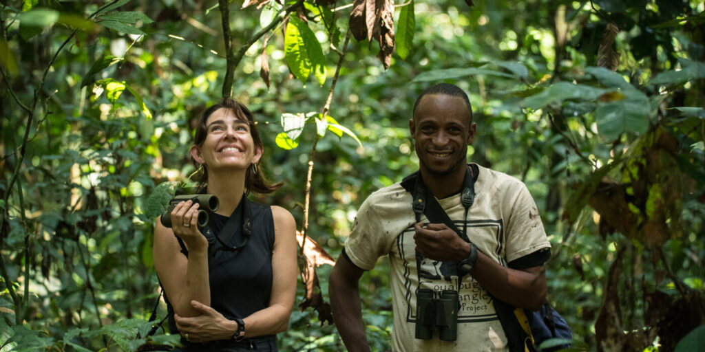 Anthropologist Crickette Sanz and botanist David Koni observing wild chimpanzees in the remote forests of northern Republic of Congo.